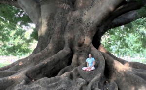 Meditatie-onder-boom